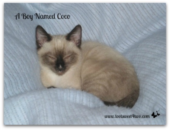 Sleepy baby Coco - A Boy Named Coco