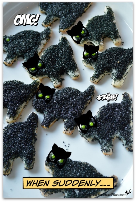 Scaredy Cat Pie Crust Cookies - About Page