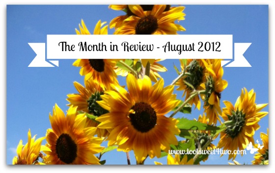 The Month in Review - August 2012 sunflowers