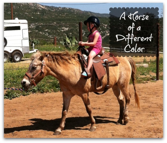 A Horse of a Different Color 