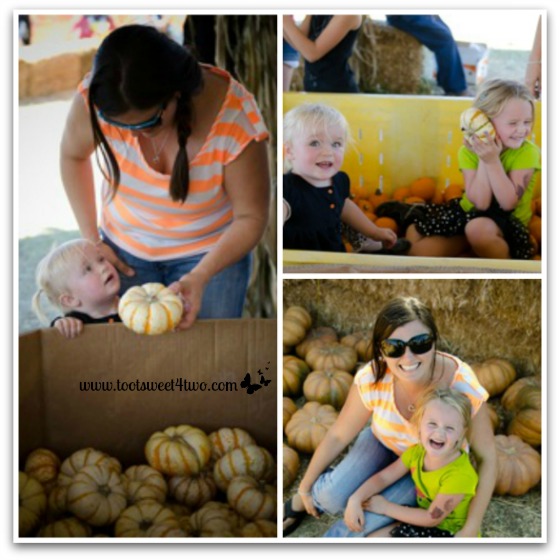 A day at the pumpkin patch