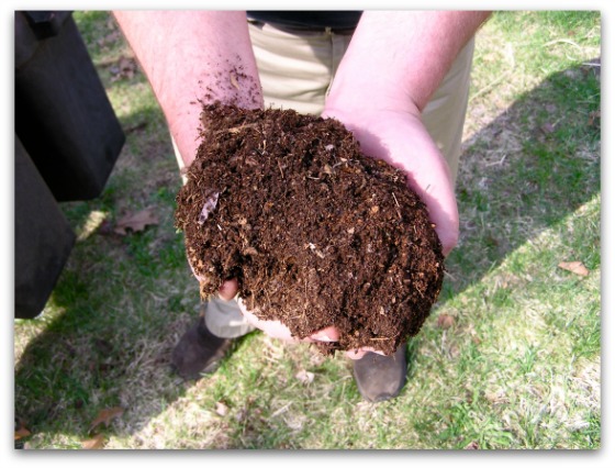 Compost dirt.  Source - Wikipedia