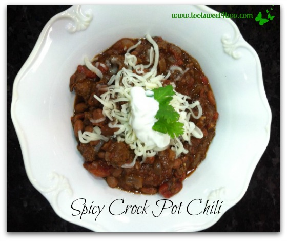 Spicy Crock Pot Chili 