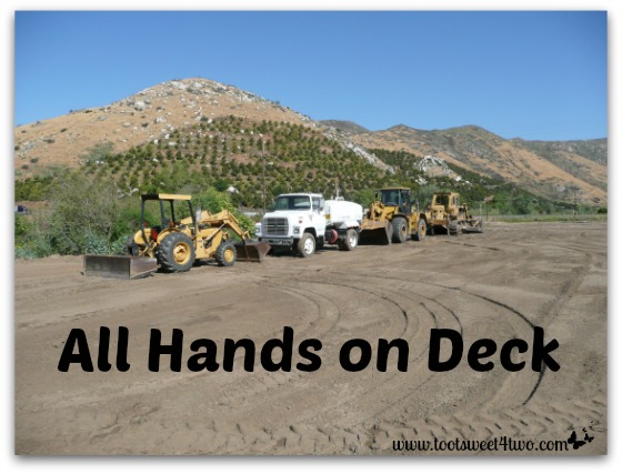 All Hands on Deck