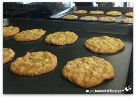 Oatmeal Cookies fresh from the oven