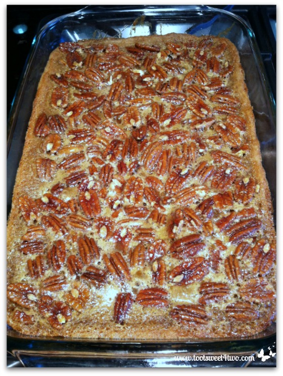 Salted Maple Pecan Pie Bars out of the oven