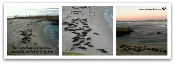 Seal Beach Collage - 42 Things to do in San Diego