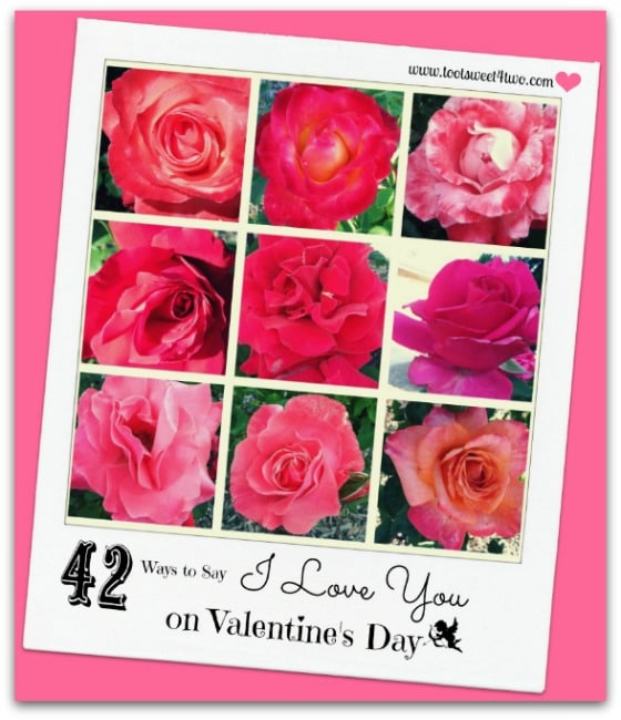 42 Ways to Say I Love You on Valentine's Day Rose collage