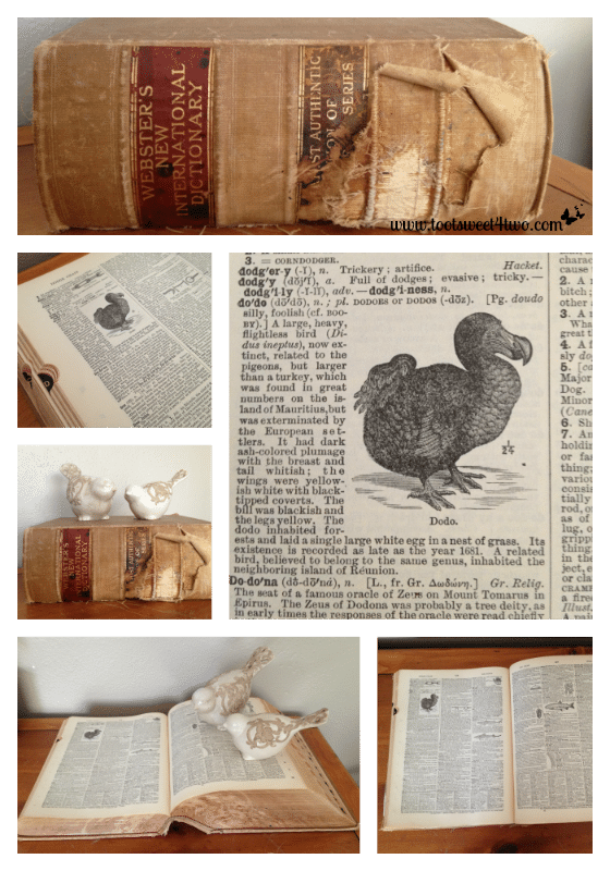 Dodo Bird Dictionary collage - By Way of the Dodo Bird