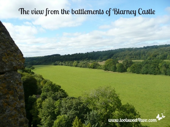 The view from the battlements of Blarney Castle, County Cork, Ireland