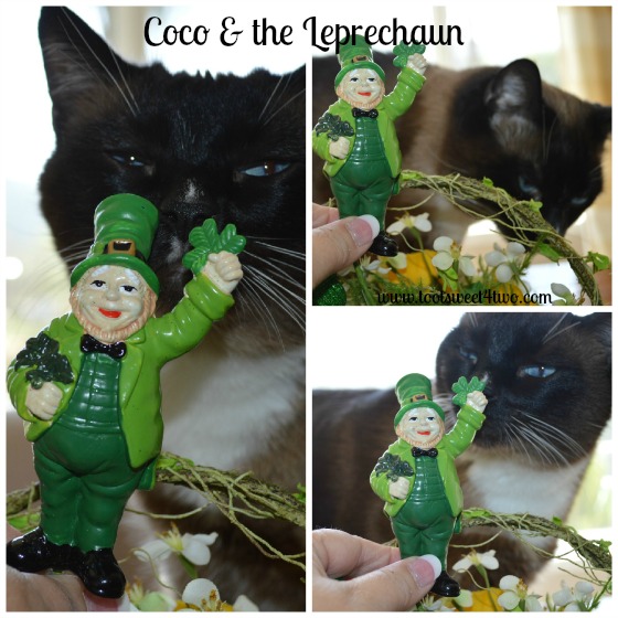 Coco and the Leprechaun Centerpiece