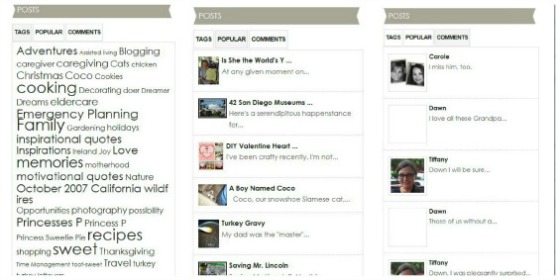 Posts Tags, Popular, Comments Widget - 10 Ways to Improve Your Blog's Design