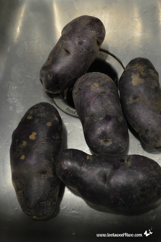 Purple Potatoes in the sink