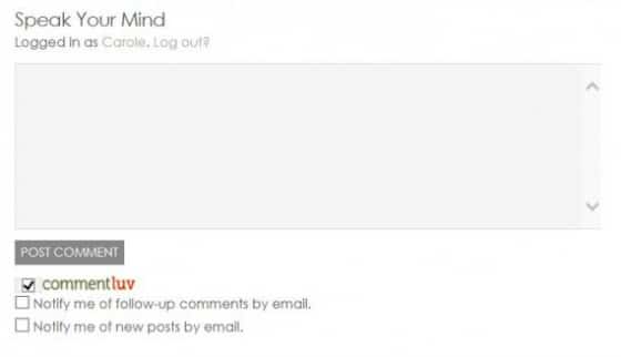 Speak Your Mind - Comments Box - 10 Ways to Improve Your Blog's Design
