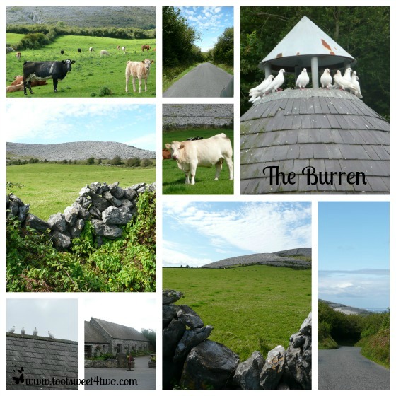 Scenes from The Burren
