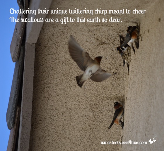 Chattering