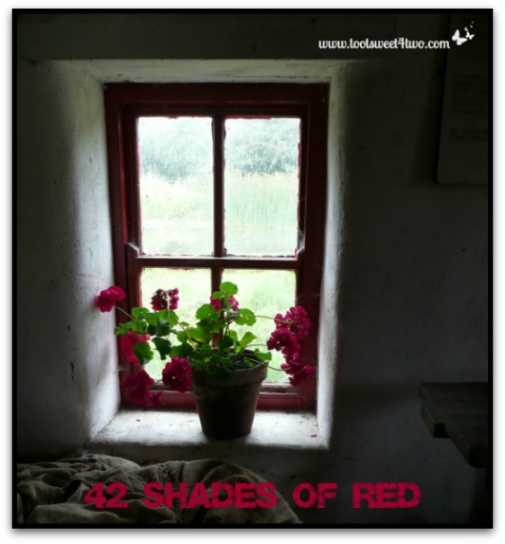 Red Window Frame for Featured Image