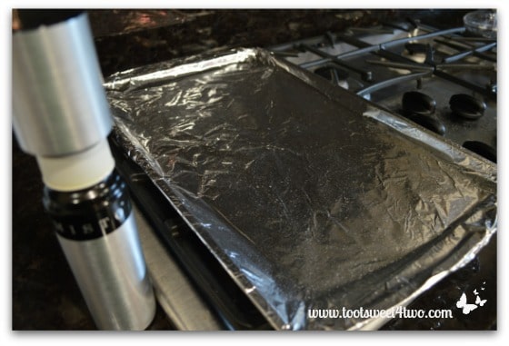 Spray Foil-lined Pan