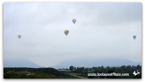 4 Hot Air Balloons Panorama