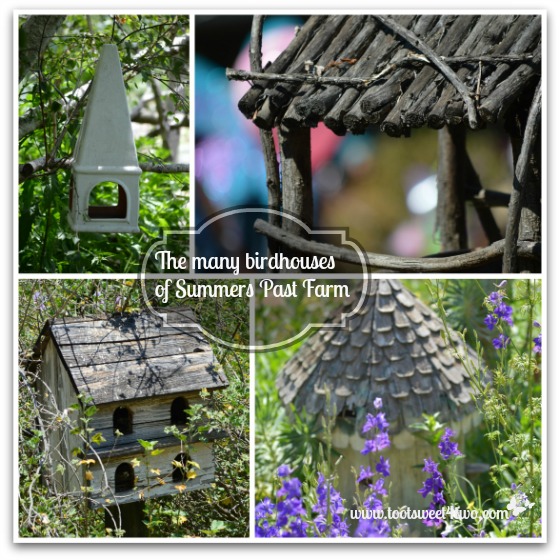 Birdhouse of Summers Past Farm