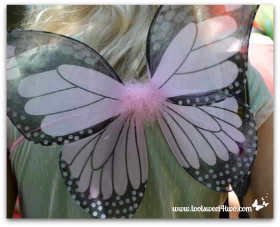 Black and Pink Fairy Wings