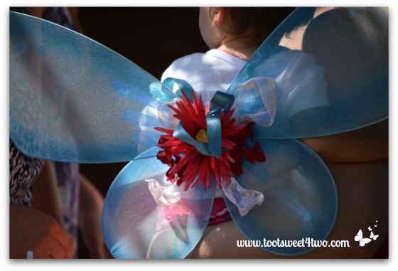 Blue Fairy Wings with Red Flower