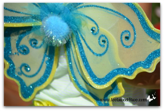 Blue and Yellow Fairy Wings