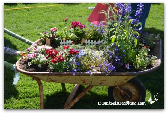 Fairy Garden in a wheelbarrow