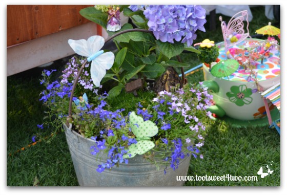 Fairy Gardens in a Metal Bucket and a Giant Cup and Saucer