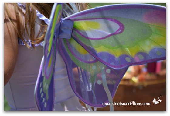 Lavender and Green Fairy Wings