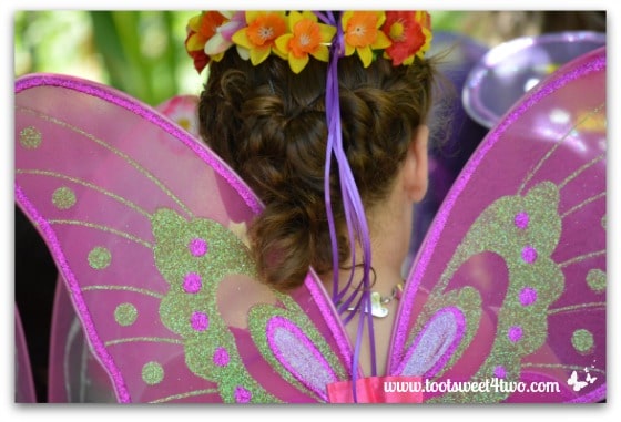 Pink and Green Fairy Wings