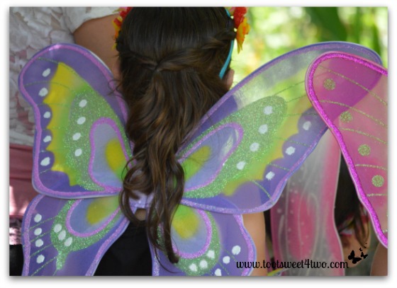 Purple and Green Fairy Wings