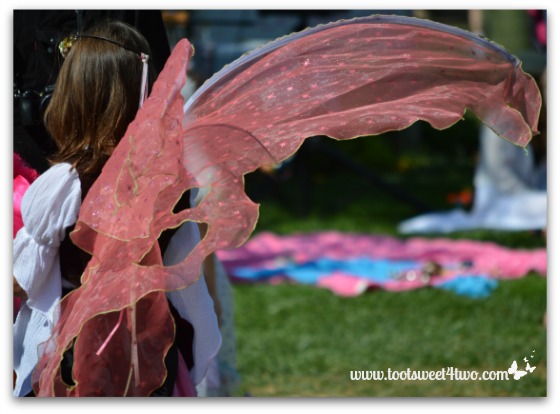 Salmon Fairy Wings