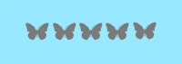 5 Butterflies