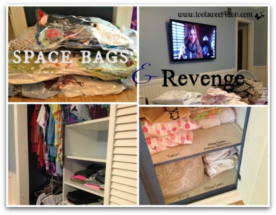 space-bags-and-revenge