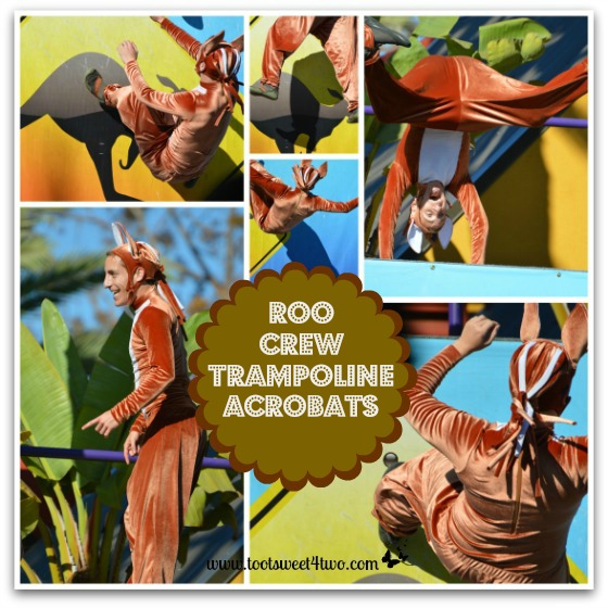 Roo Crew acrobats at the San Diego Zoo