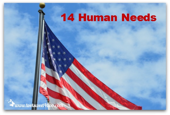 14 Human Needs 