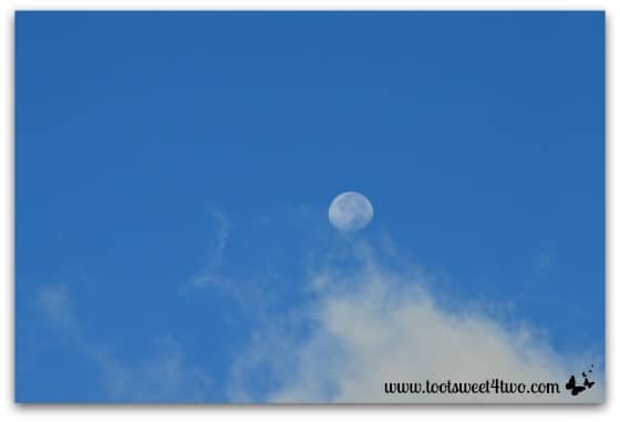 Morning clouds and the moon