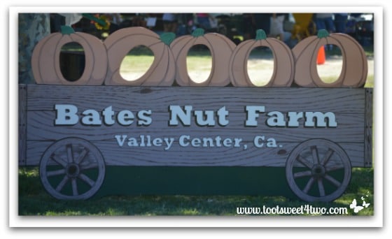 Pumpkin Wagon photo op - Bates Nut Farm