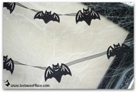 Close-up of bats and spider web