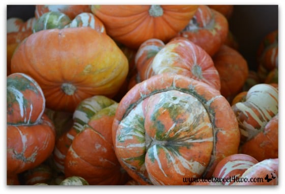 Gourds and pumpkins in a box