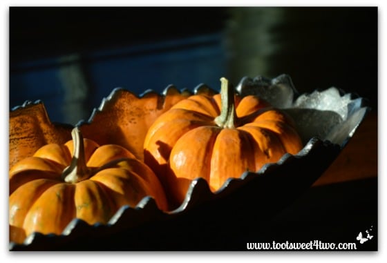 Mini pumpkins in a silver bowl - right side view