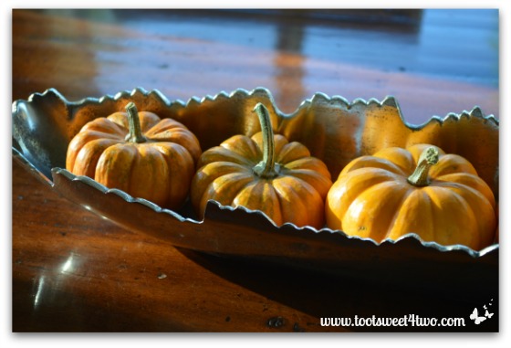 Mini pumpkins in silver bowl - left view