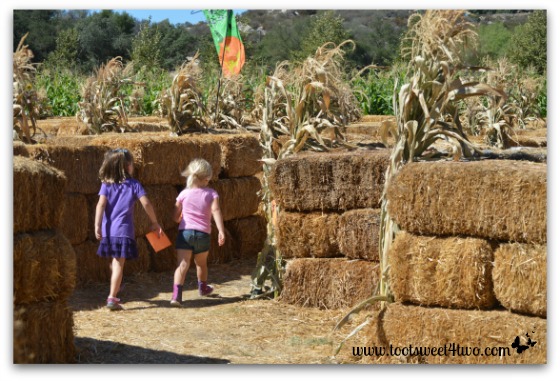 Off the find the next station in the Straw Maze