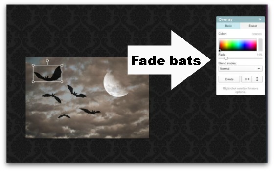 Step #13 - Fade bats