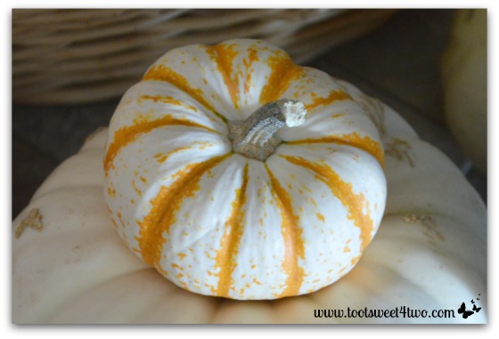 Striped mini pumpkin