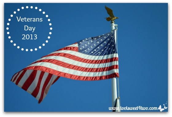 Veterans Day 2013
