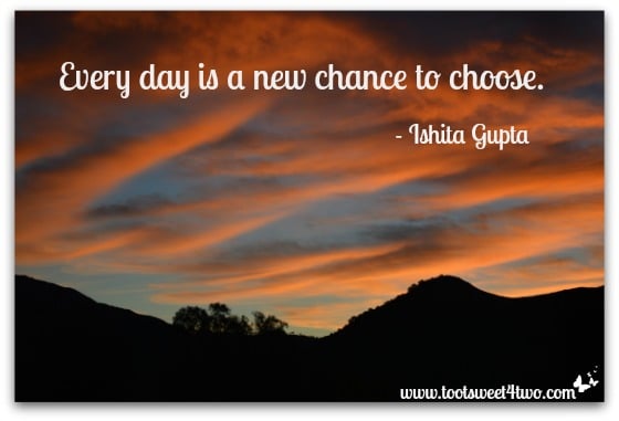 Every day is a new chance to choose cover