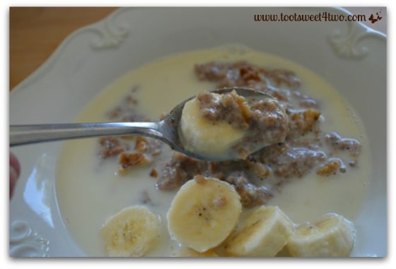 Spoonful of Vanilla Cinnamon Oatmeal with Walnuts and Bananas