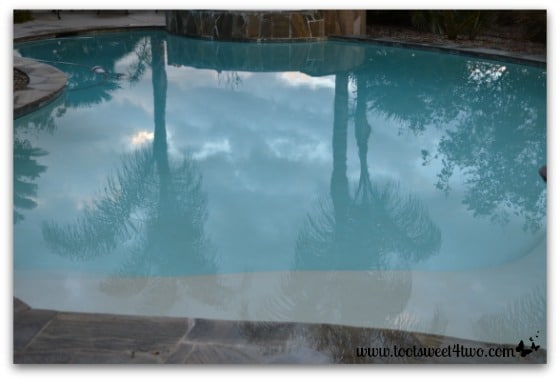 Picture 2 - Palm trees and clouds reflected in pool - November 23, 2013